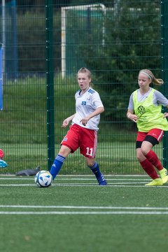 Bild 65 - C-Juniorinnen HSV - Walddoerfer : Ergebnis: 9:1